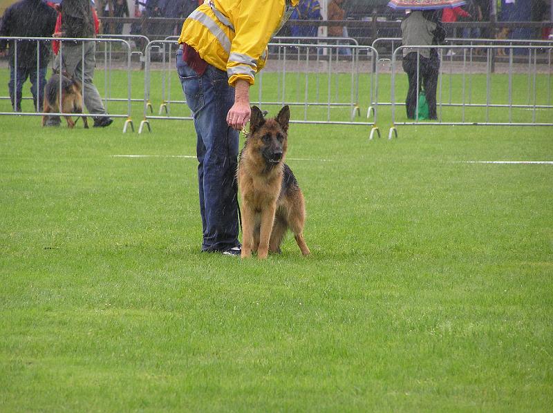 15-9-08 058.jpg